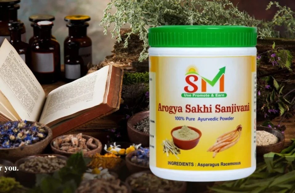 banner-1-1-e1765024298830